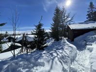 Mysig familjestuga uthyres i Fageråsen, Trysil