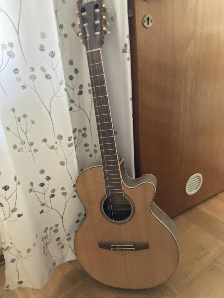 Ibanez aeg 10 ne