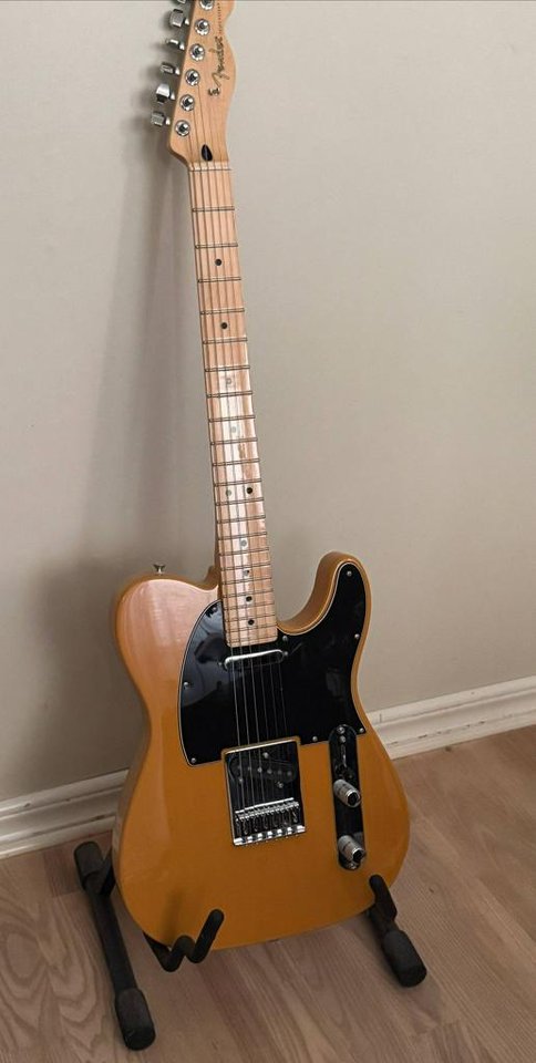 Fender Telecaster "Player" MN...