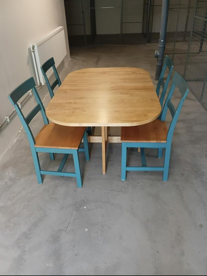 Fällbord Björk