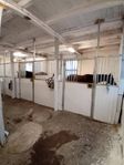 Stall inredning 