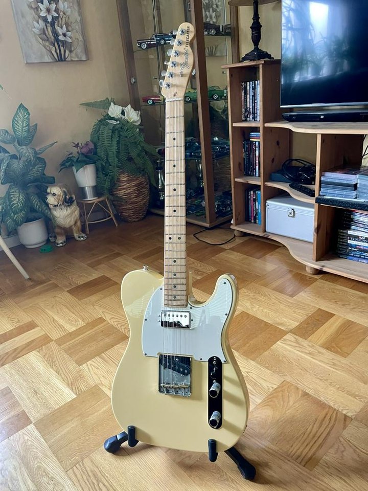 Fender Telecaster American Pe...