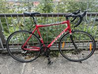 Schwinn Racer strl L