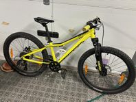 Scott scale 24