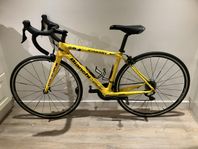 Team Rynkeby Bianchi stl 48