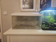 Akvarium 