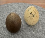 2 stycken keramikägg.