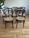 Thonet no 14