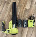 Ryobi lövblåsare med 2 batterier och laddare