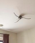 Modern LED-Taklampa