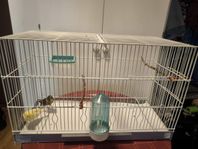 Fågel med buren