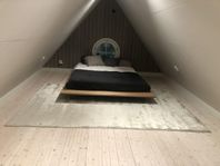 Linie design  "Simplicity" viskos matta