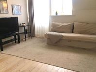 Ljus grå stor matta 2x3m i bra skick