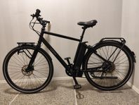 Ecoride Tripper AXS-H9