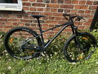 Giant Fathom 29 2