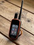 Garmin Alpha 100