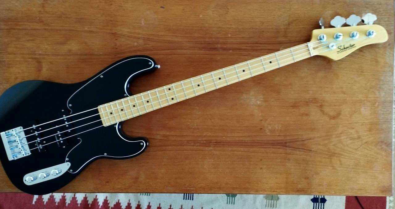 Schechter Model T Bass 