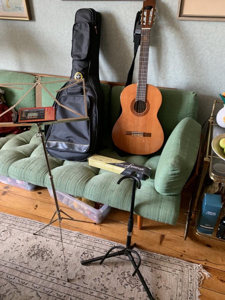 Gitarr Yamaha