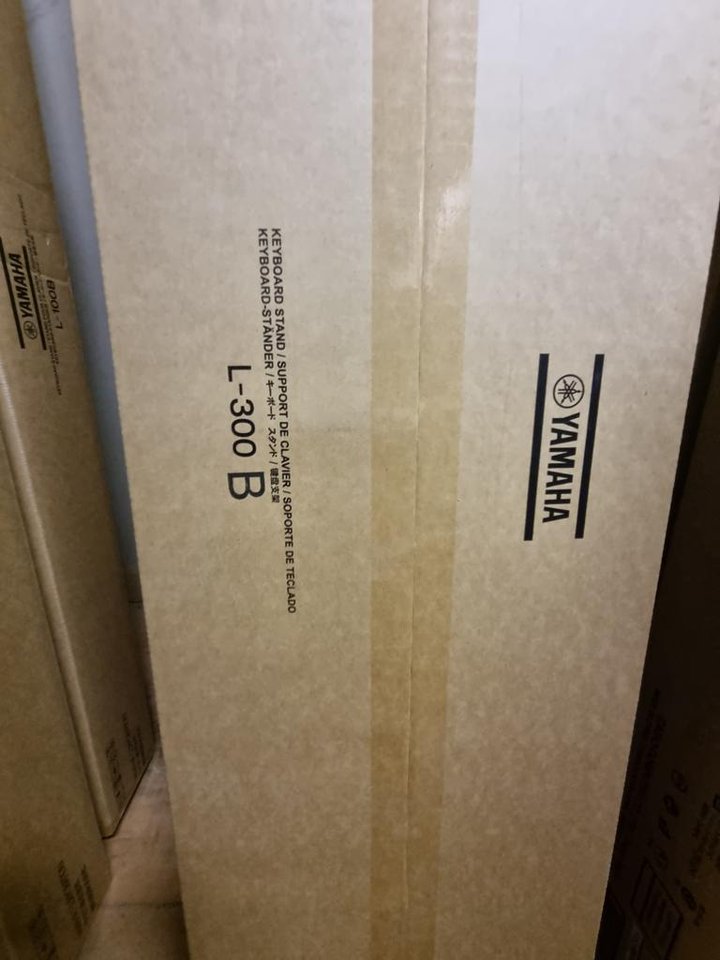 Yamaha l300b