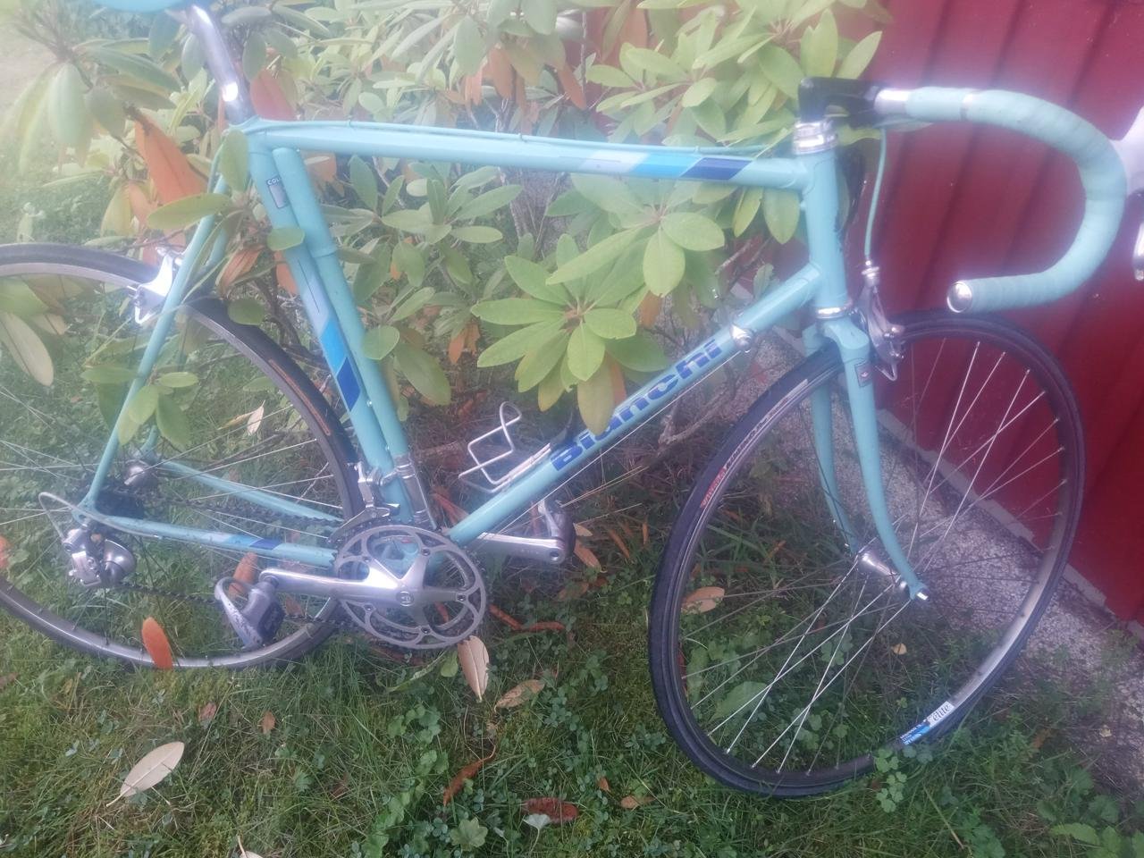 bianchi nyskick