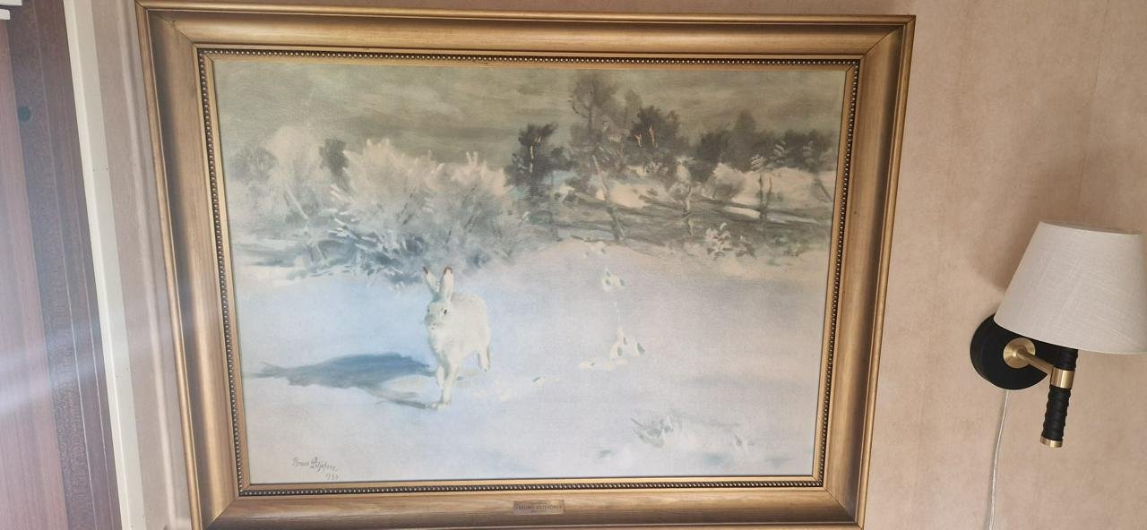 Harre i vinterlandskap, Bruno...