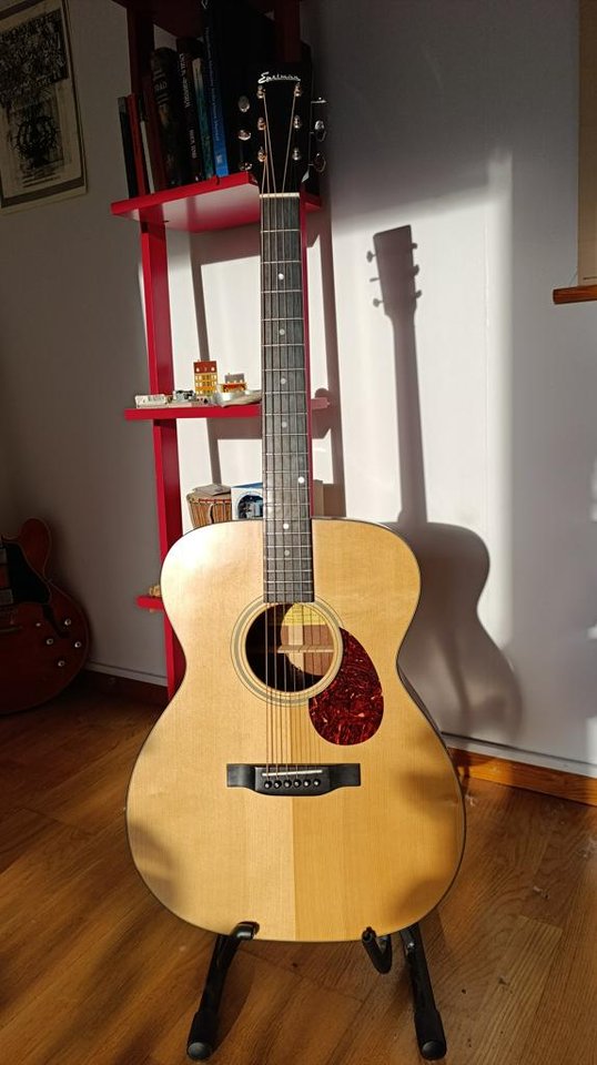Eastman E1OM