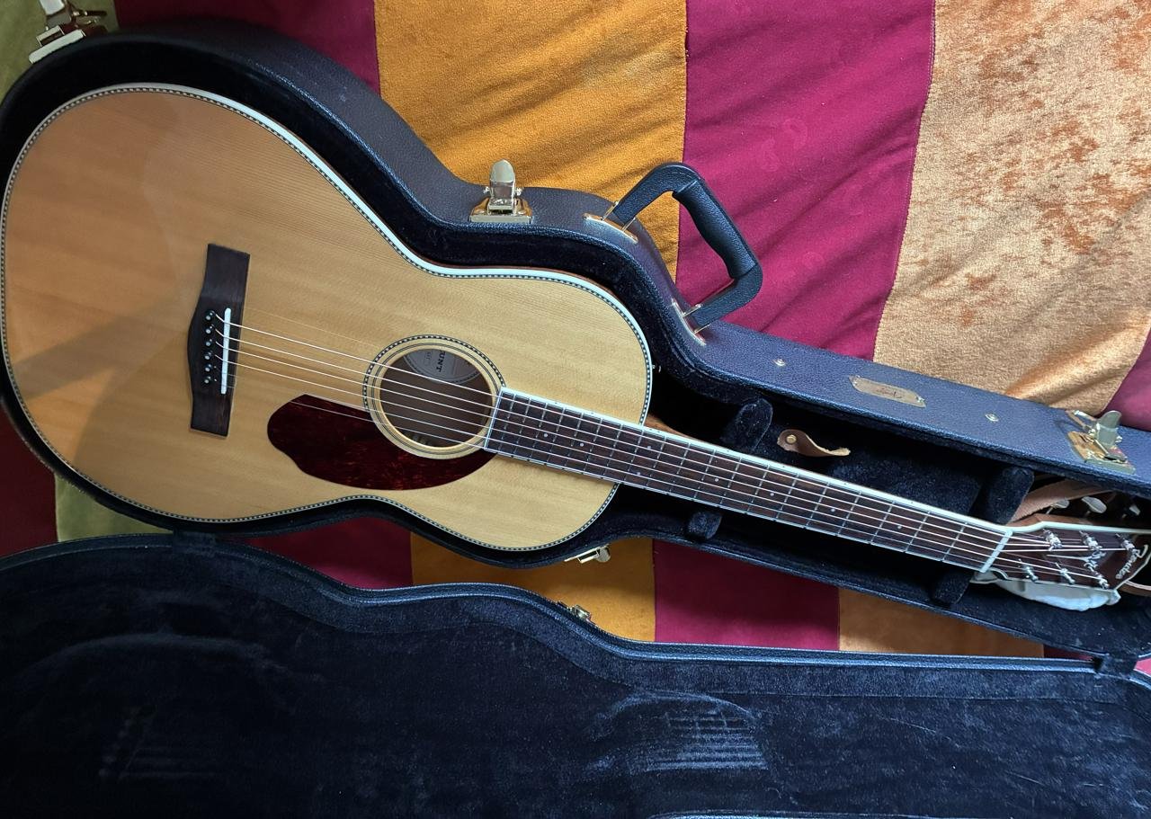 Fender PM-2