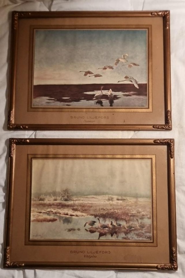 BRUNO LILJEFORS "SWANS" - Kon...