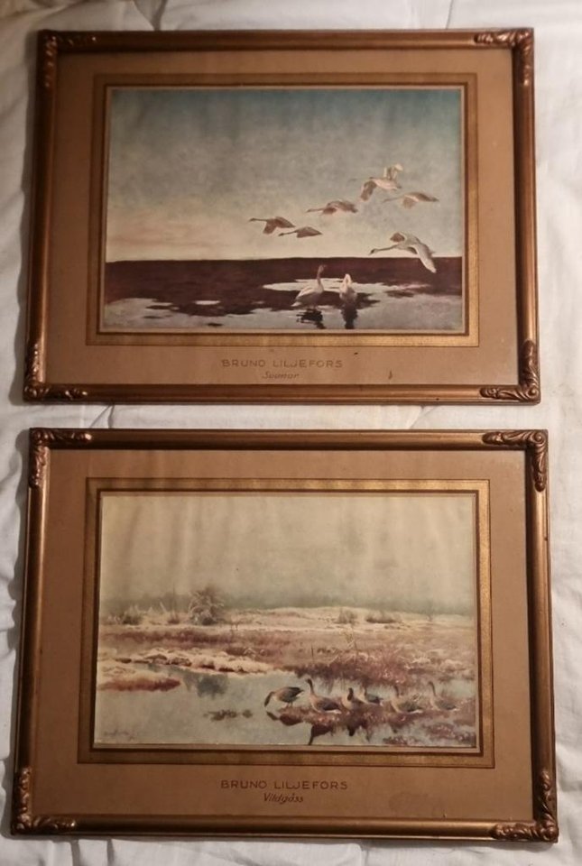 Exklusiva Liljefors tryck i p...