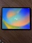 iPad Pro 12.9” (4:e gen) 256 GB Wi-Fi, skärmskydd & fodra