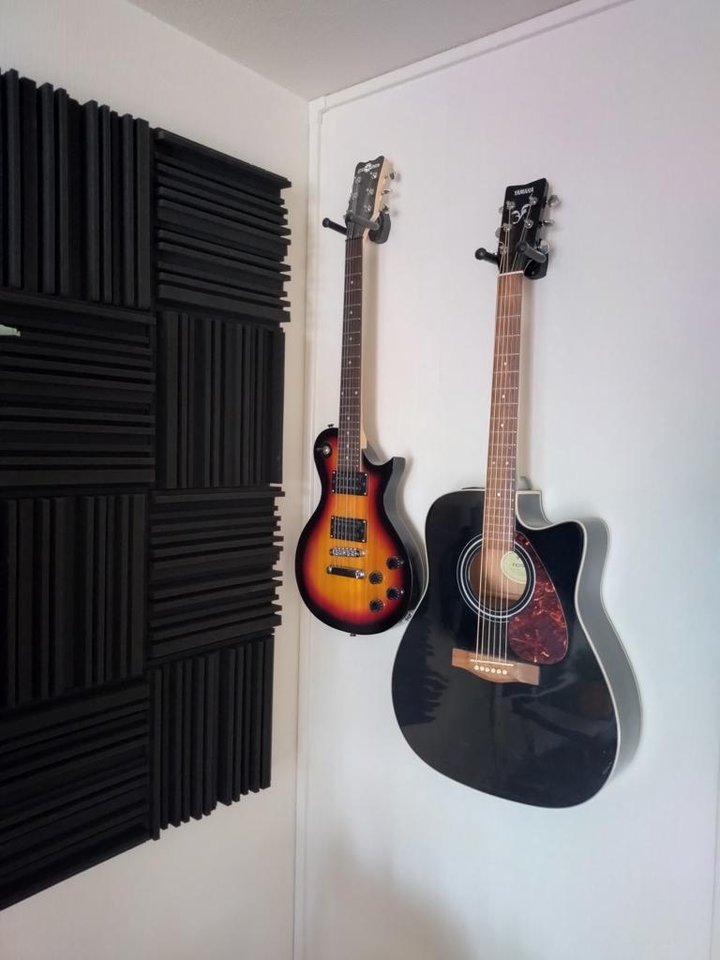 Elgitarr/Akustisk gitarr
