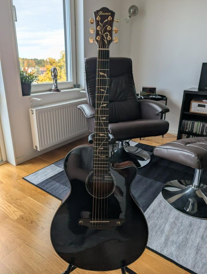 Ibanez AEG 550BK Electro/Acou...