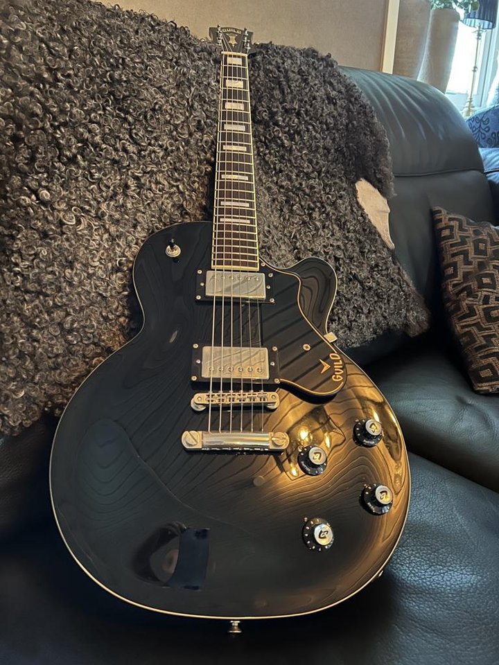 Guild bluesbird