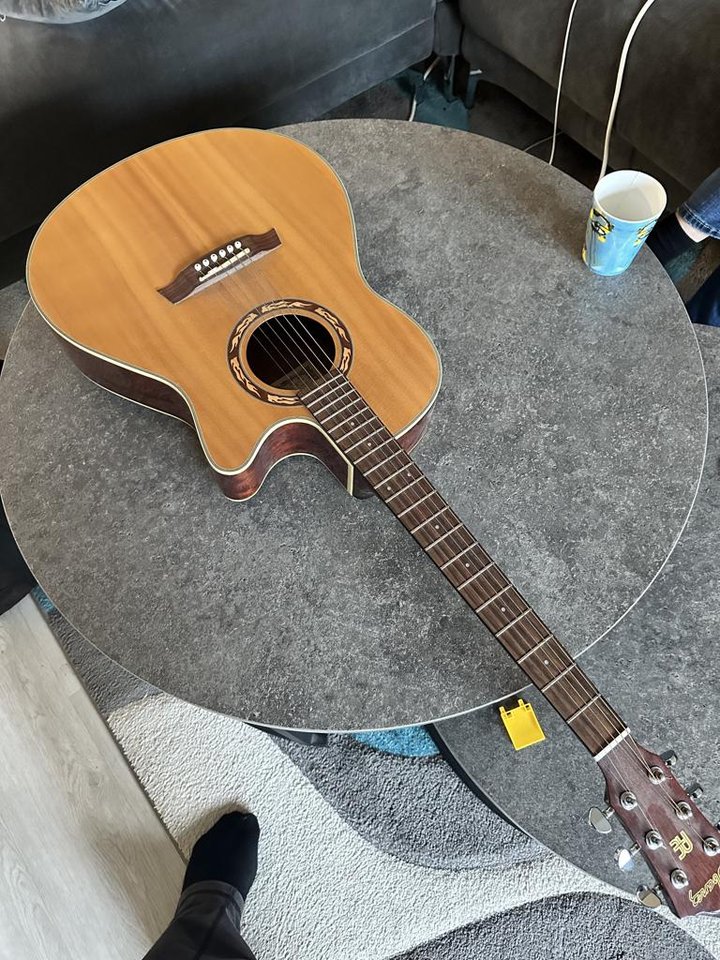 Gitarr Ibanez AEF 18 enligt s...