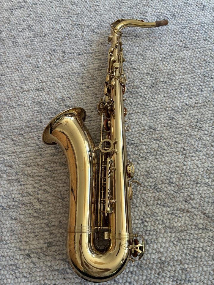 Tenorsaxofon TS-100G