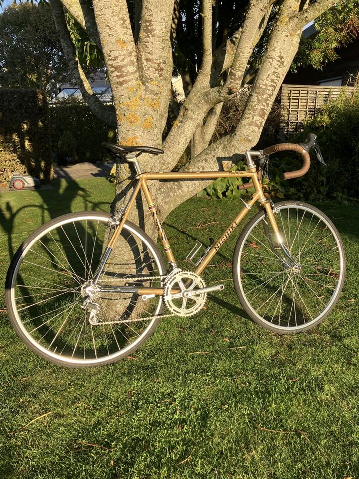 Nishiki Trim Master