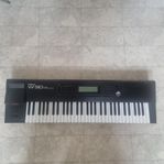 Roland w30