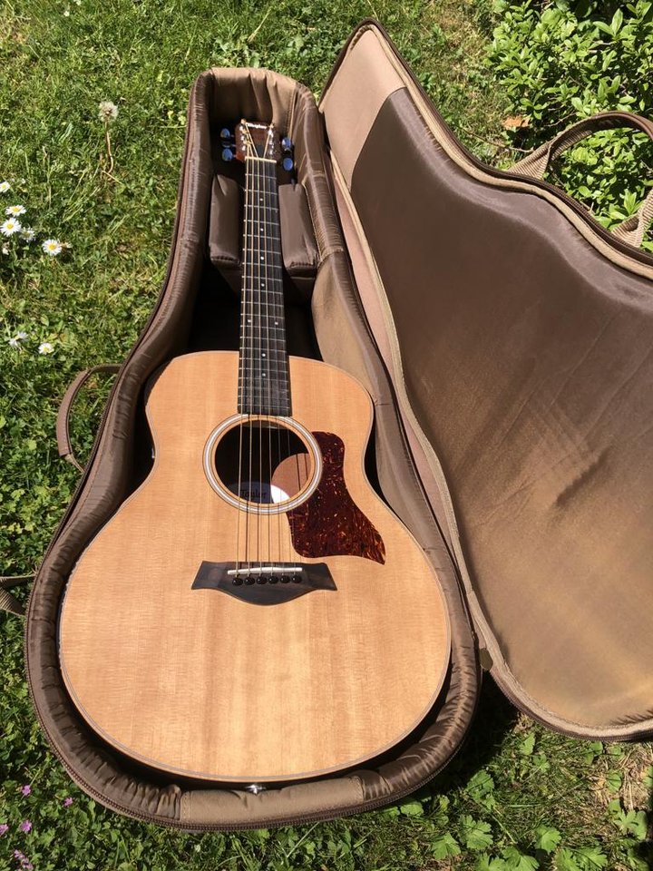 Taylor GS mini (-e)