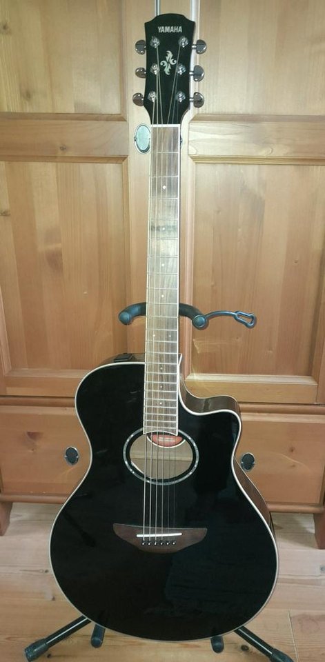 Yamaha APX600
