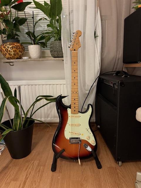Fender Stratocaster "Player P...