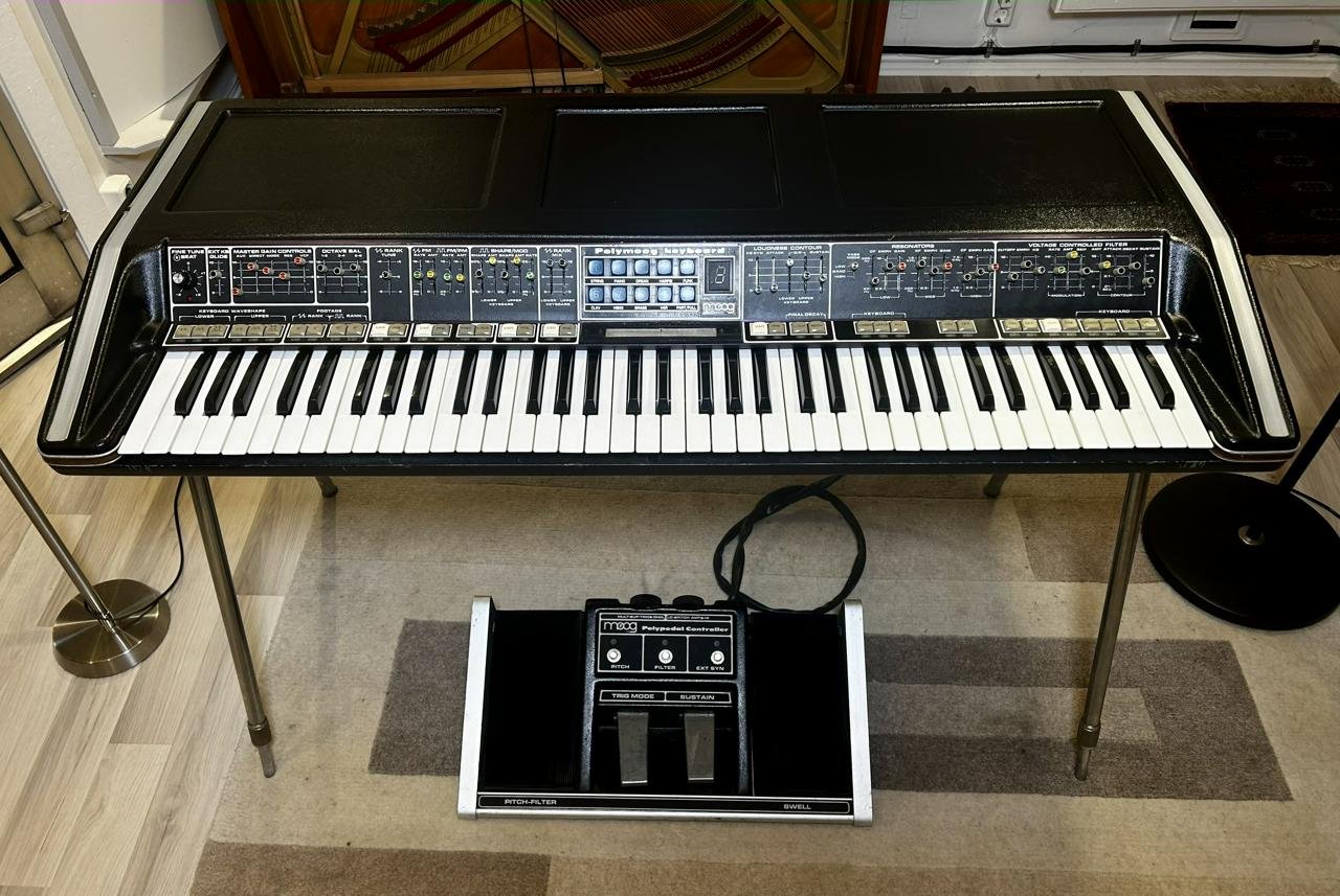 MOOG Polymoog 203A