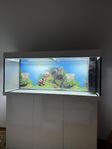 Juwel Rio 240L med möbel 