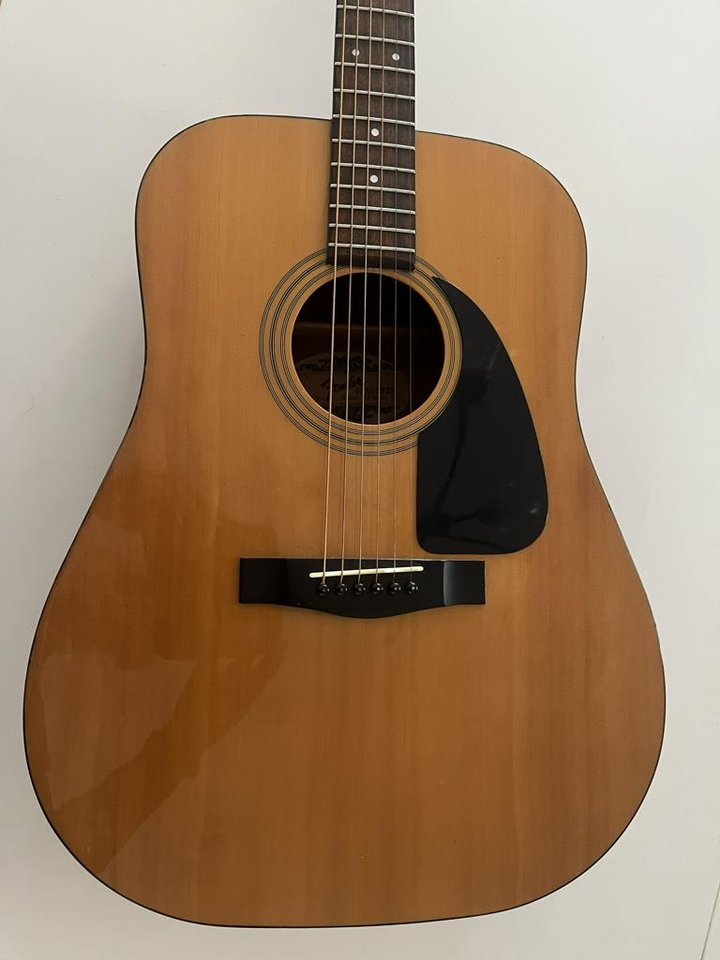 Akustisk gitarr Fender Gemini II