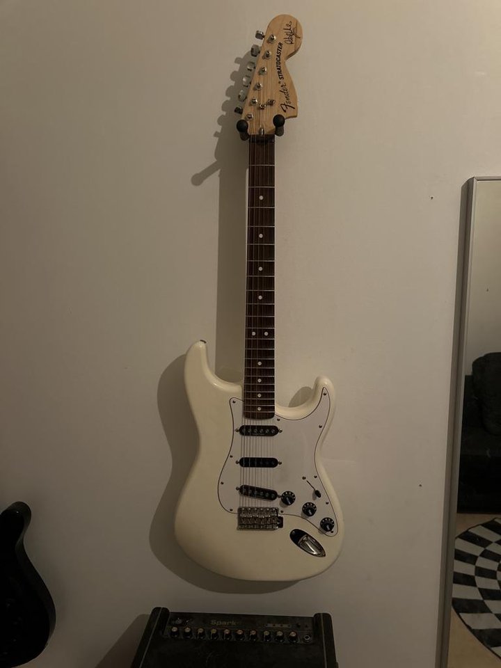 Fender Stratocaster Ritchie B...