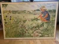 Flera fina skolplanscher 