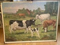 Gamla fina skolplanscher