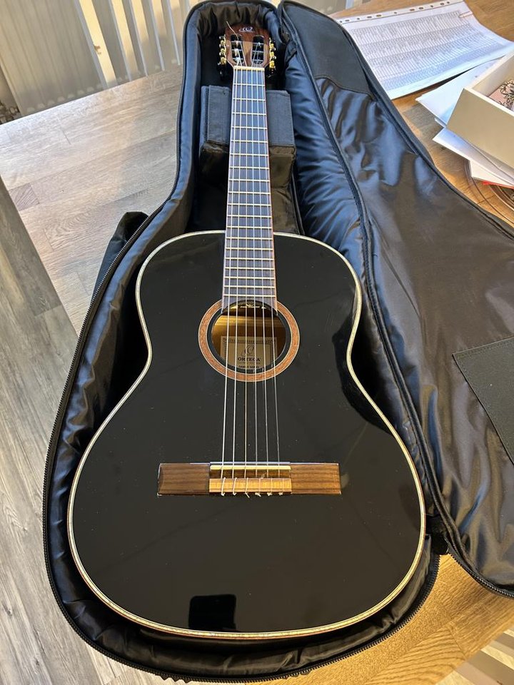 Akustisk gitarr, Ortega 