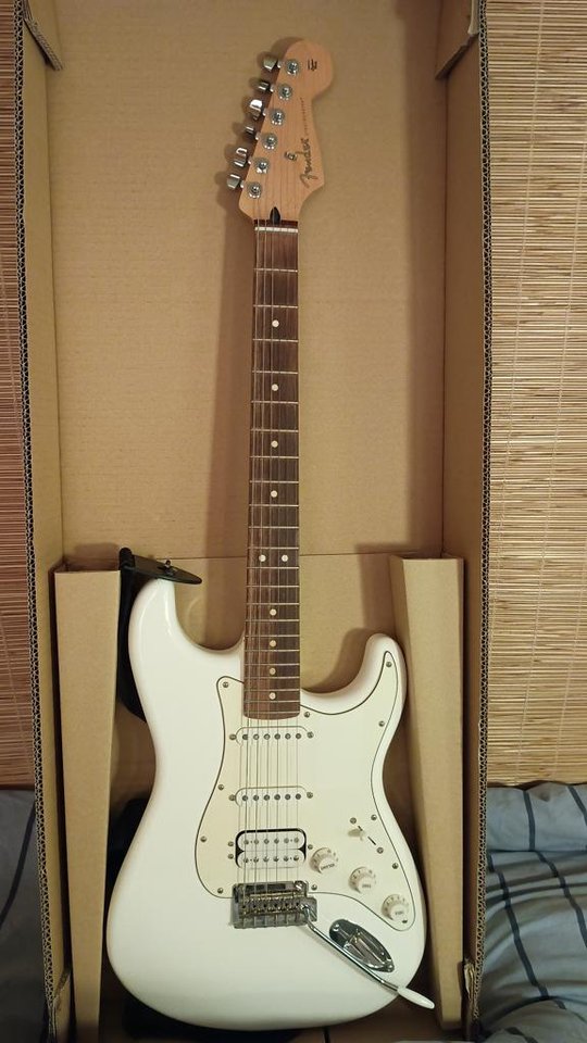Fender Stratocaster Player Se...