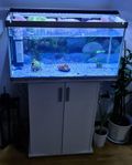 Akvarium 125L med skåp