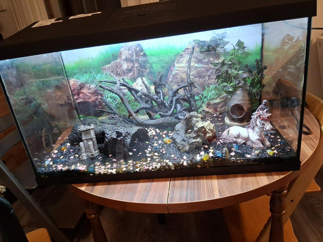 akvarium med tillbehör